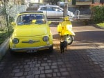 La Fiat 500 di bongo